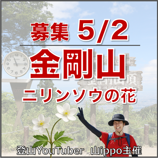 【2026/5/2(土)】金剛山🪷ニリンソウの花