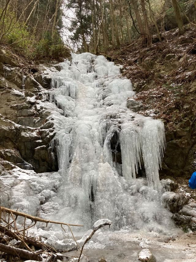 【1/24(土)】金剛山❄️サードプレイス登山（大阪・奈良）