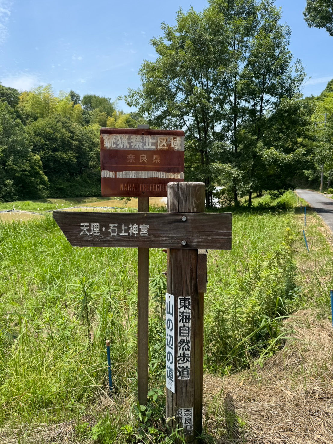 【2026/10/18(日)】山の辺の道⛰️トレイル