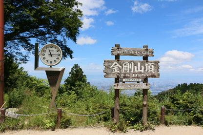 【2026/4/18(土)】金剛山🪻カタクリの花