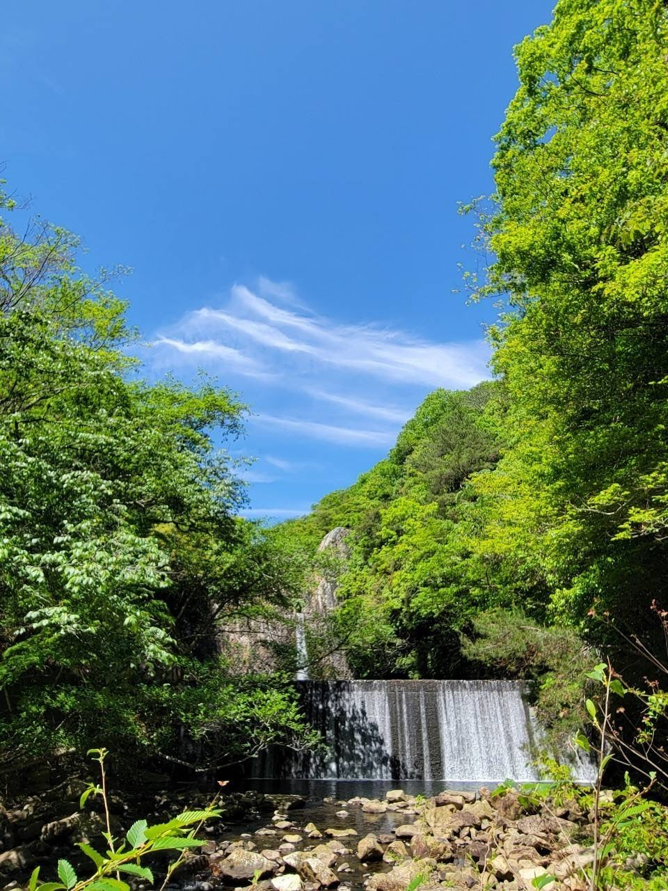 【2026/7/5(日)】摩耶山 ⛰️ サードプレイス登山（兵庫）