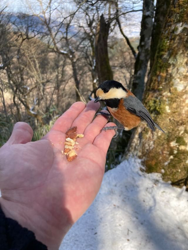 【1/24(土)】金剛山❄️サードプレイス登山（大阪・奈良）