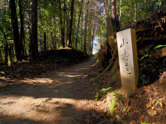 【2026/10/18(日)】山の辺の道⛰️トレイル