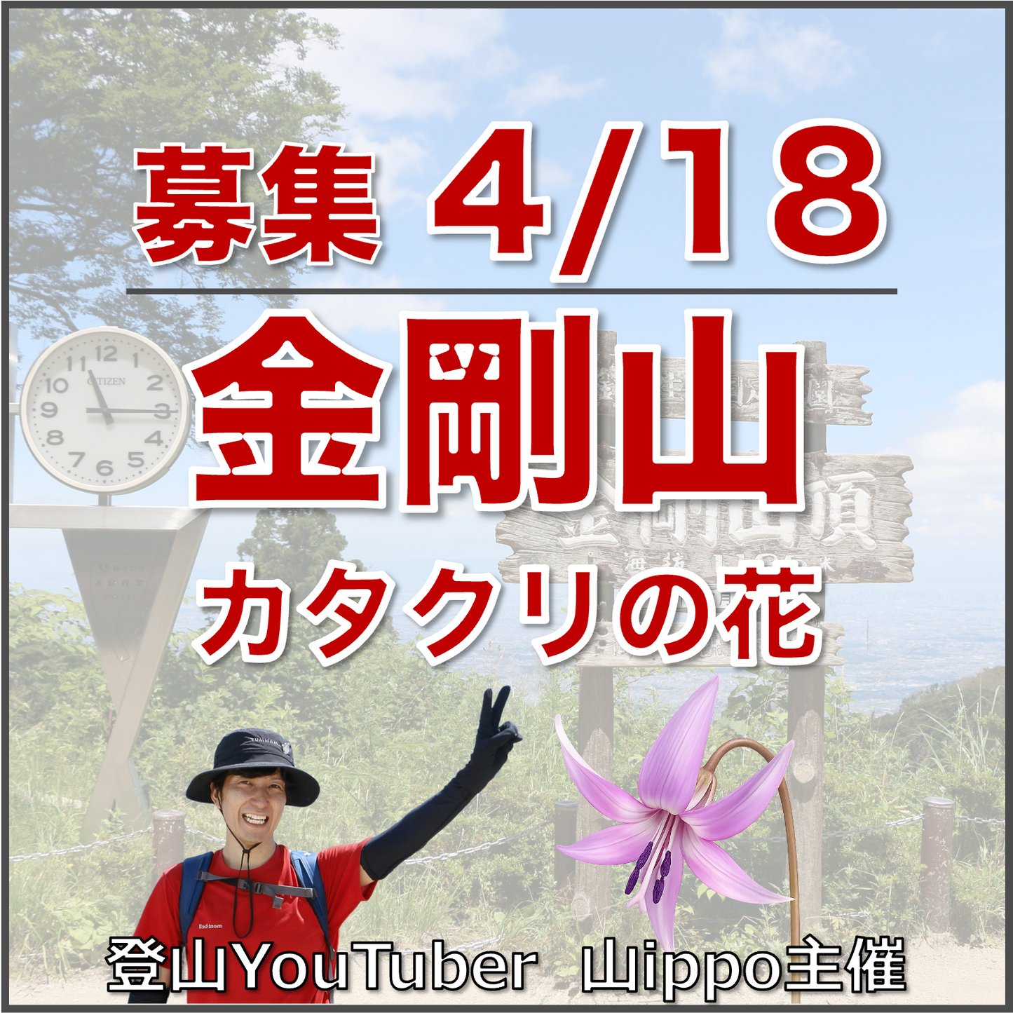 【2026/4/18(土)】金剛山🪻カタクリの花